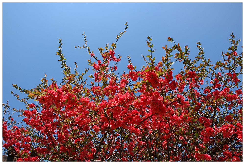 in den Himmel gschaut