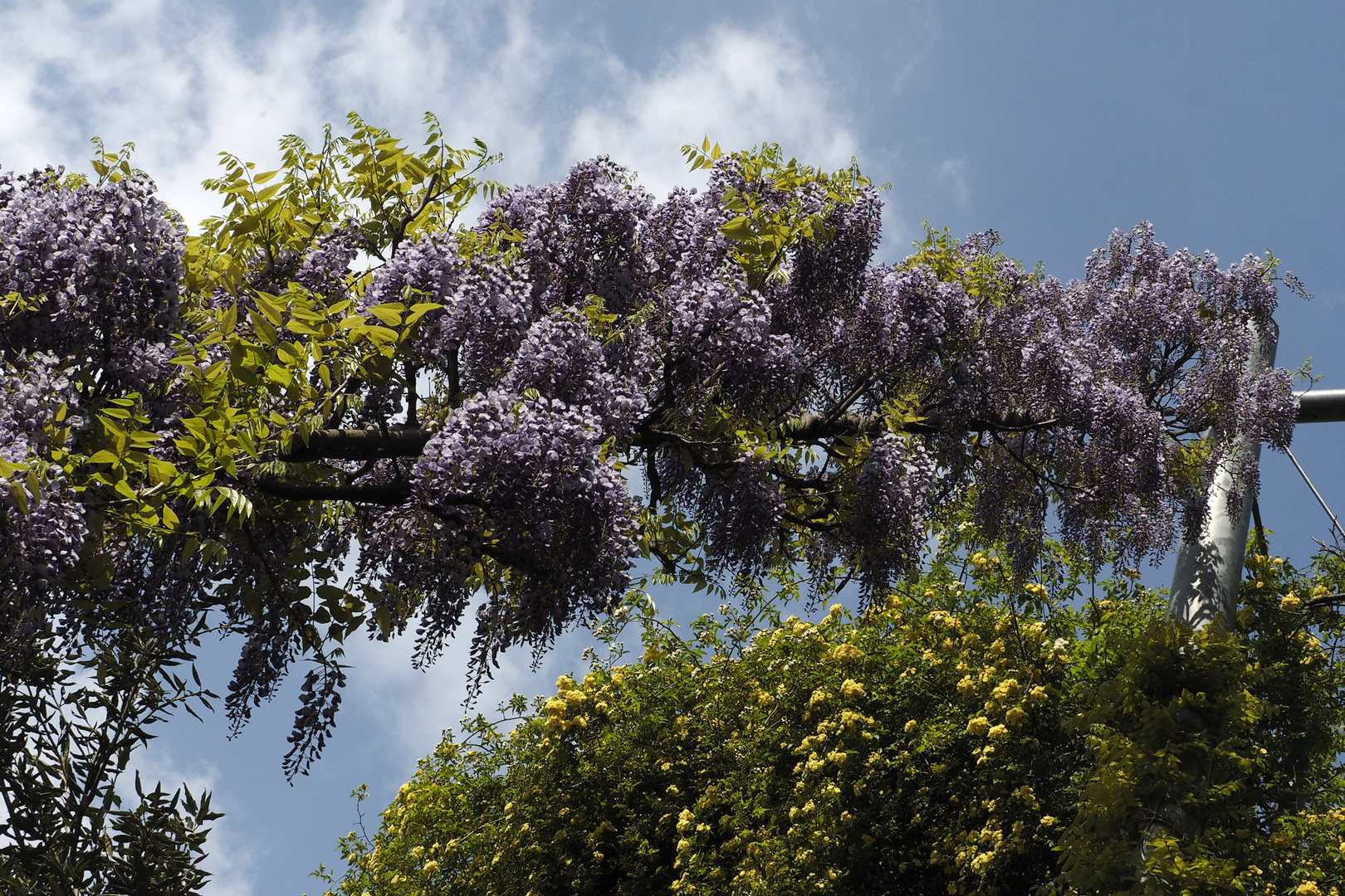 In den Himmel hinein