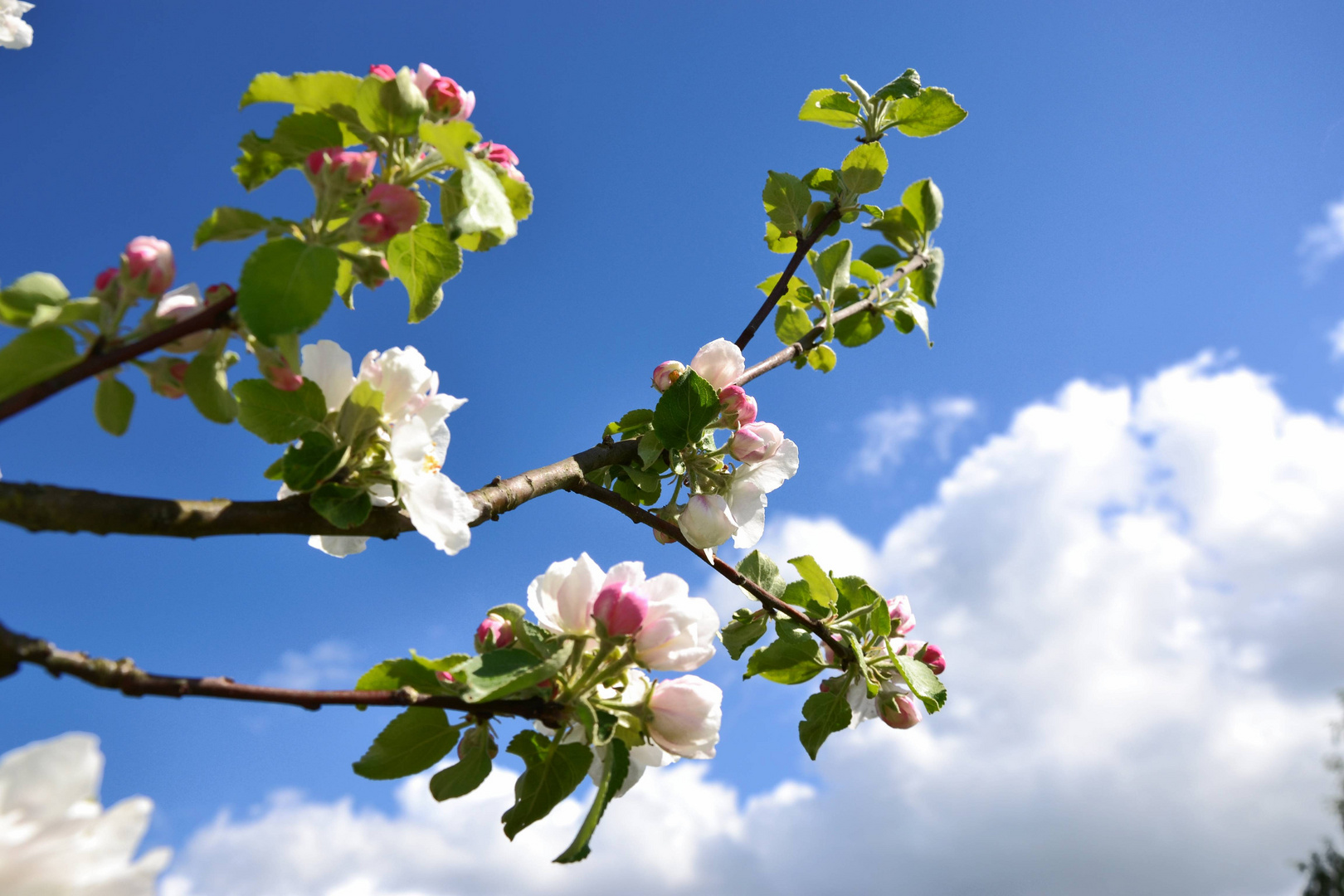 in den Himmel ragend