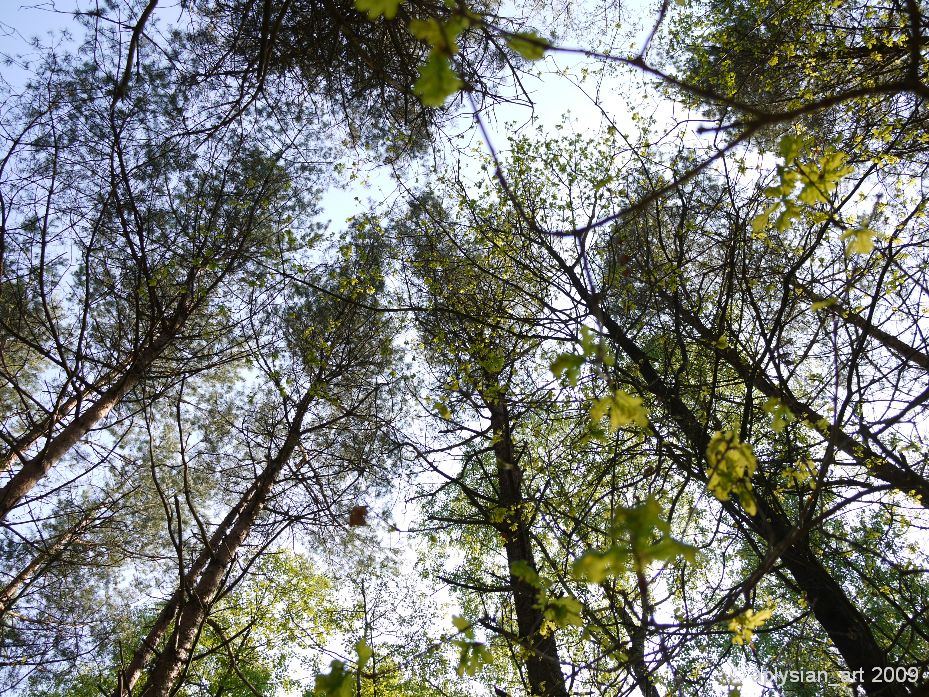 in den Himmel schauend