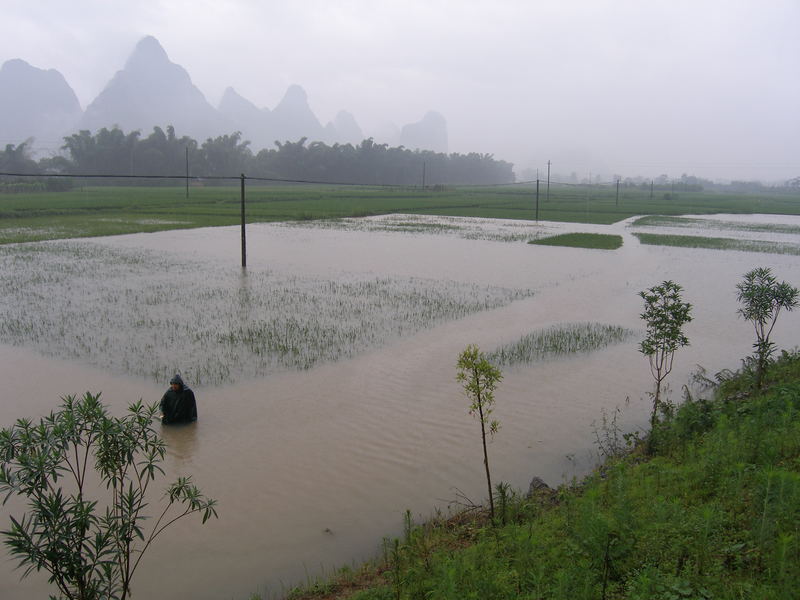 "In den Hochwassergebieten Süd Chinas"