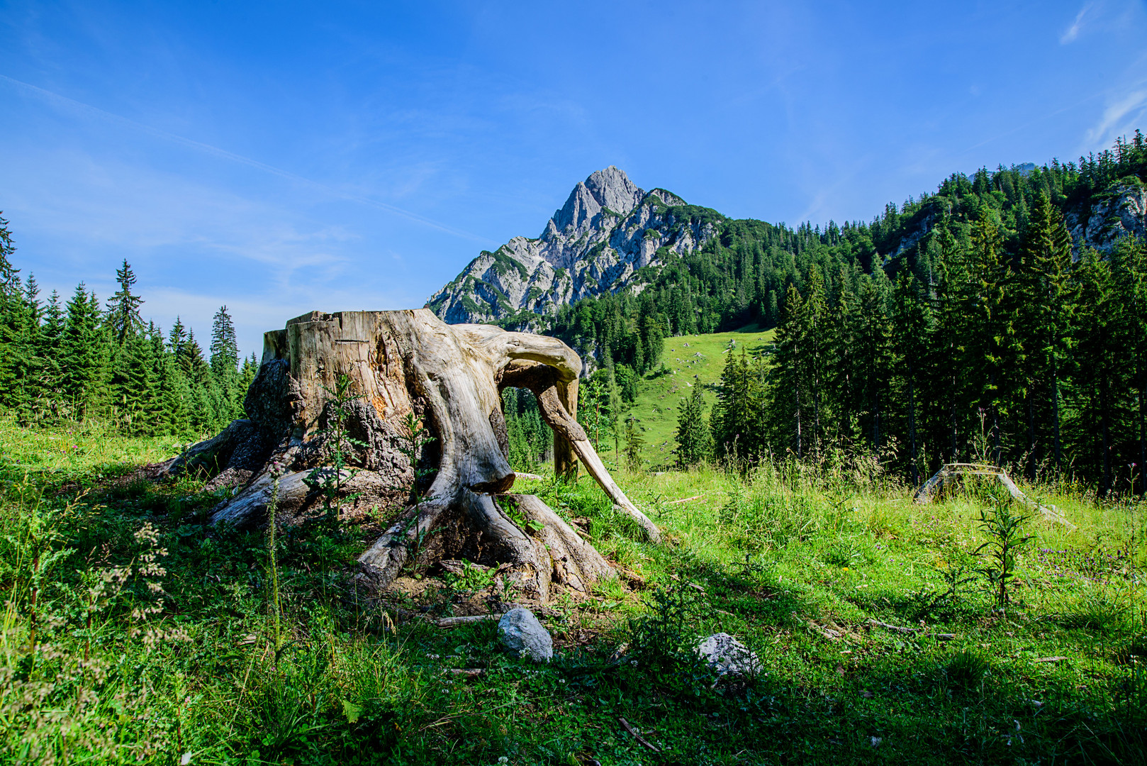 in den Höhenlagen