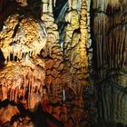 In den Höhlen von Postojna (2)