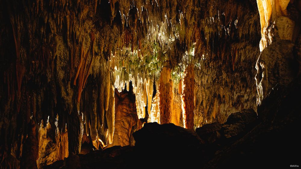 In den Höhlen von Postojna (3)