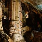 In den Höhlen von Postojna (5)