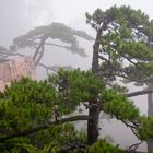 in den Huangshan Bergen