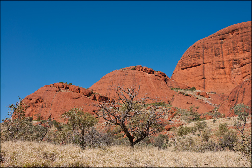 in den Kata Tjuta´s