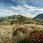 In den Kitzbüheler Alpen