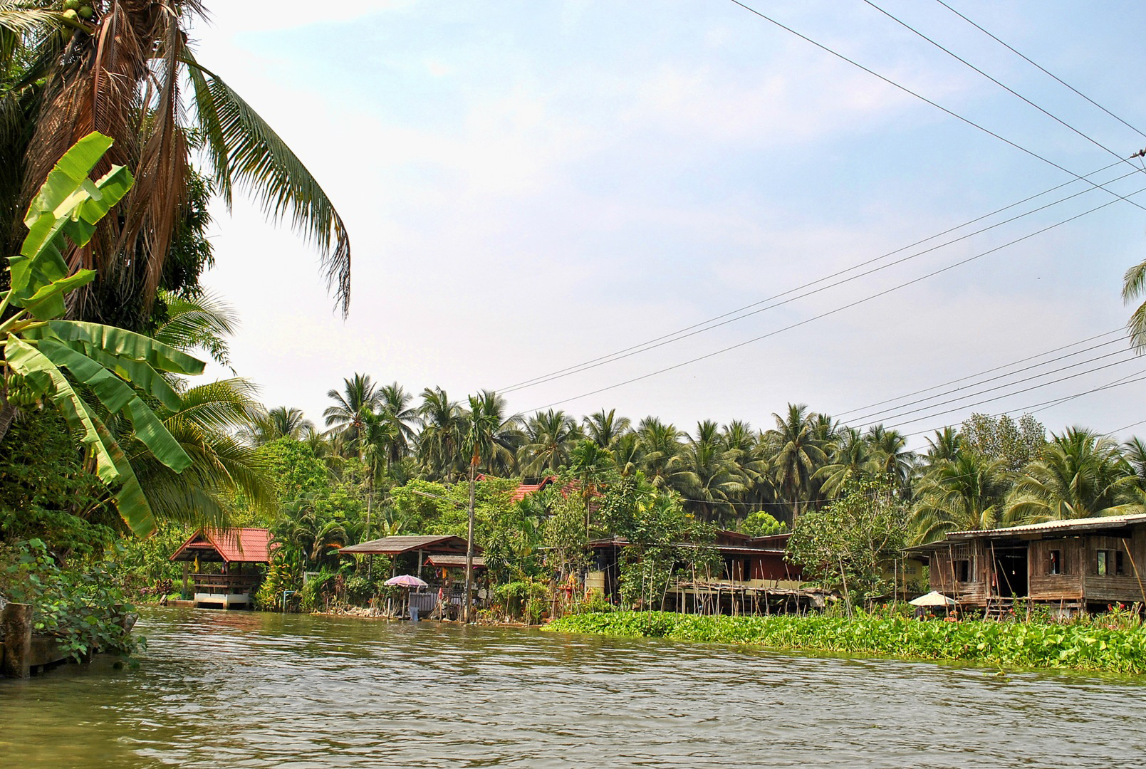 In den Klongs