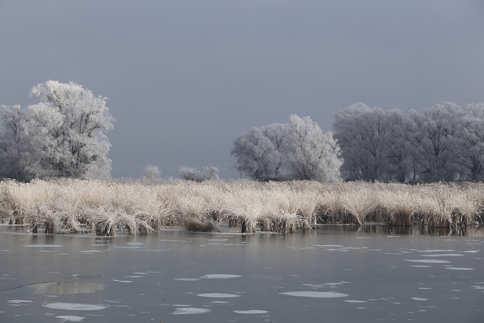 In den letzten Tagen hat sich eine Eisdecke gebildet