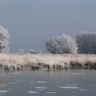 In den letzten Tagen hat sich eine Eisdecke gebildet