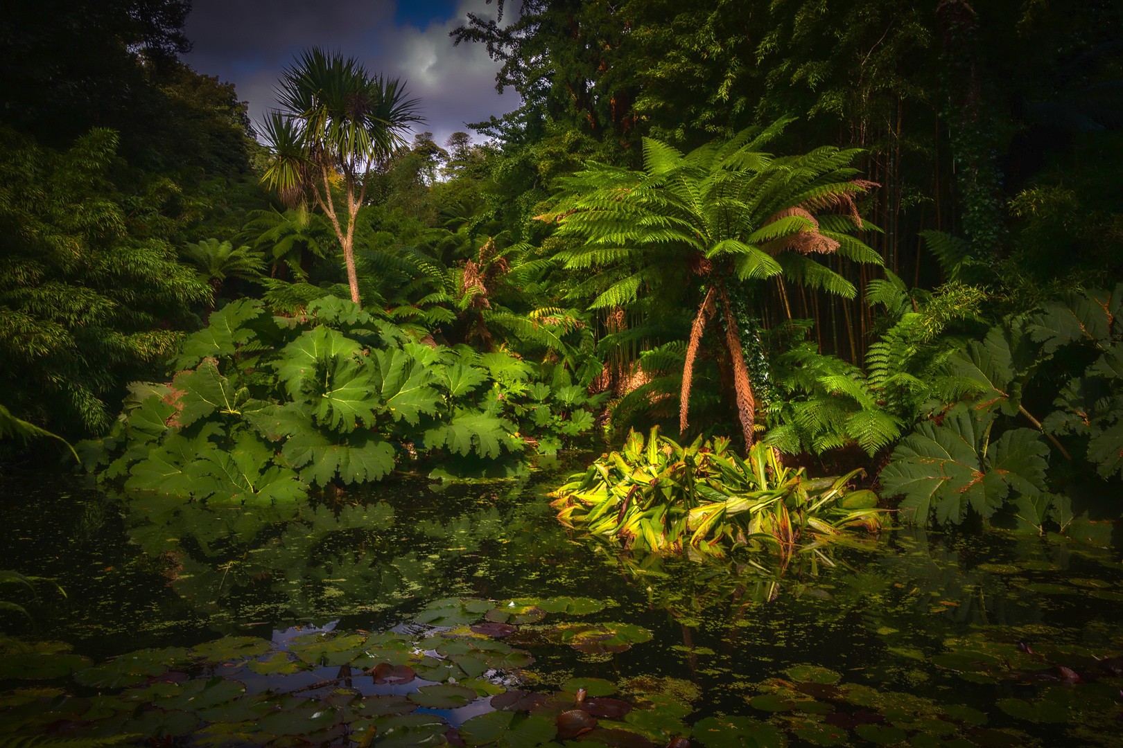 in den Lost Gardens of Heligan 5