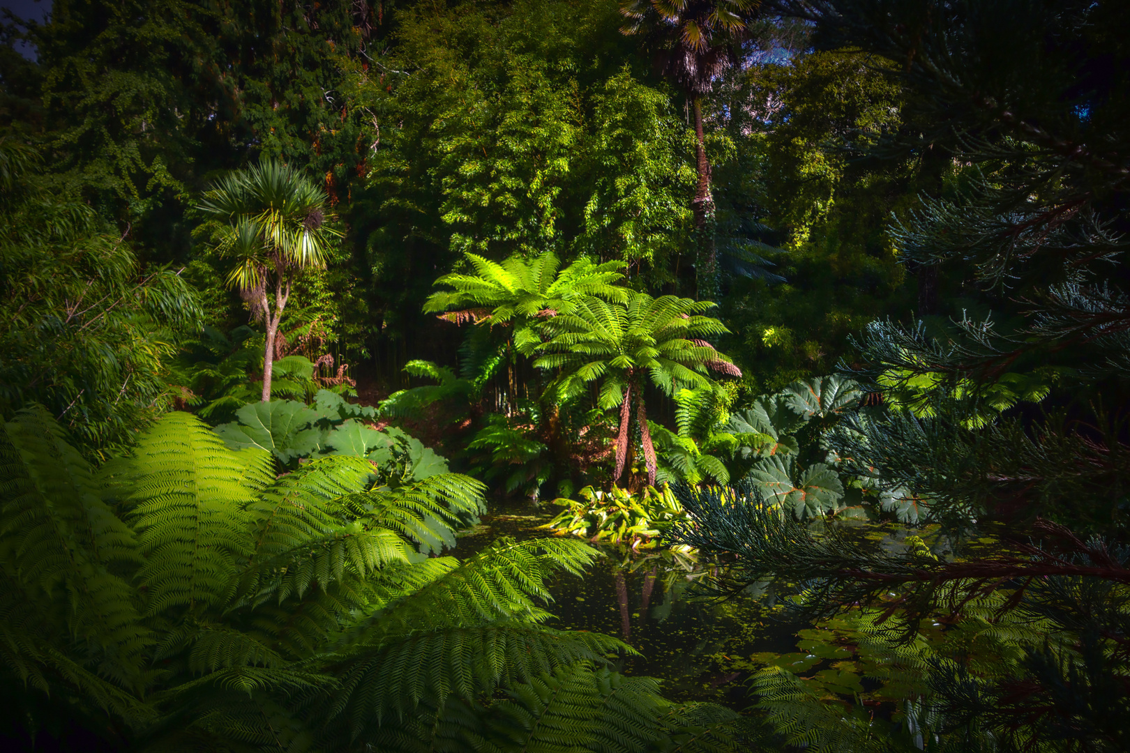 In den Lost Gardens of Heligan 6