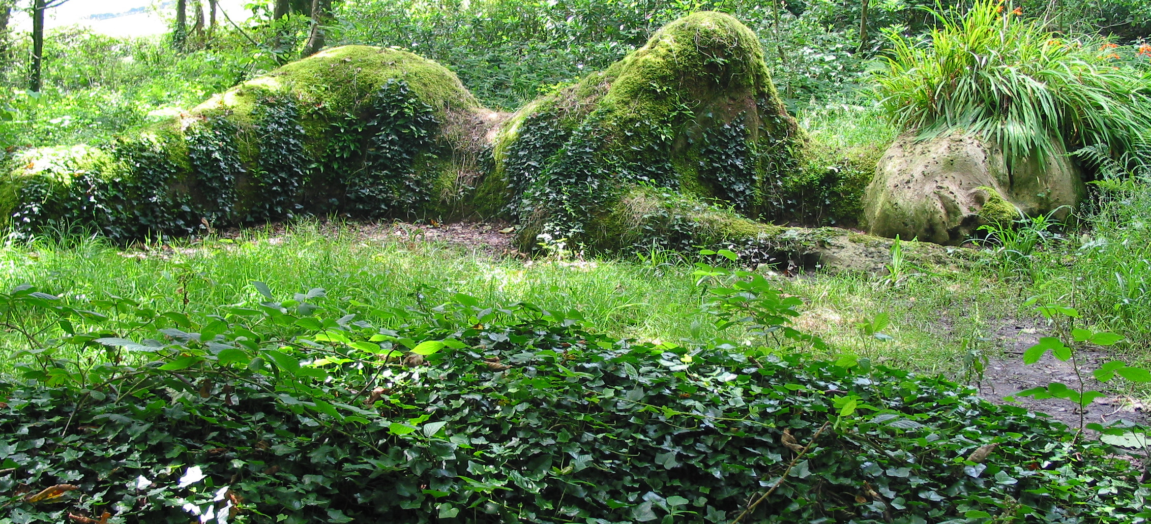 in den Lost Gardens of Heligan (Cornwall)
