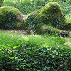 in den Lost Gardens of Heligan (Cornwall)