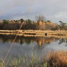 In den Maasduinen 2