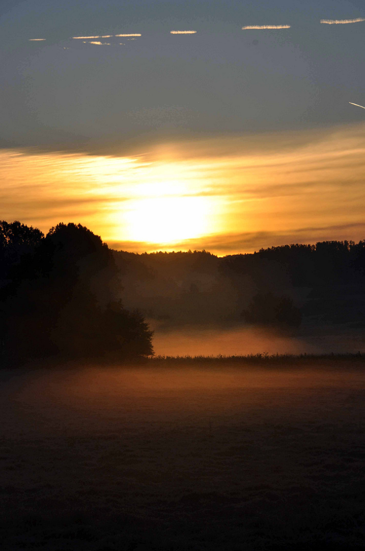 ...in den Möhnewiesen am Morgen