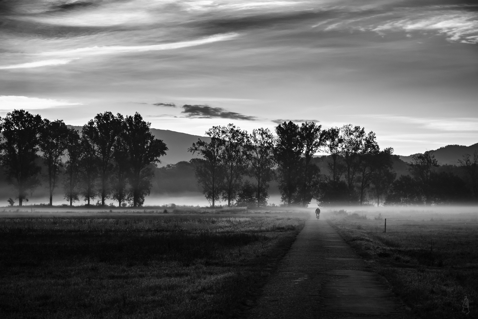 In den Morgennebel...