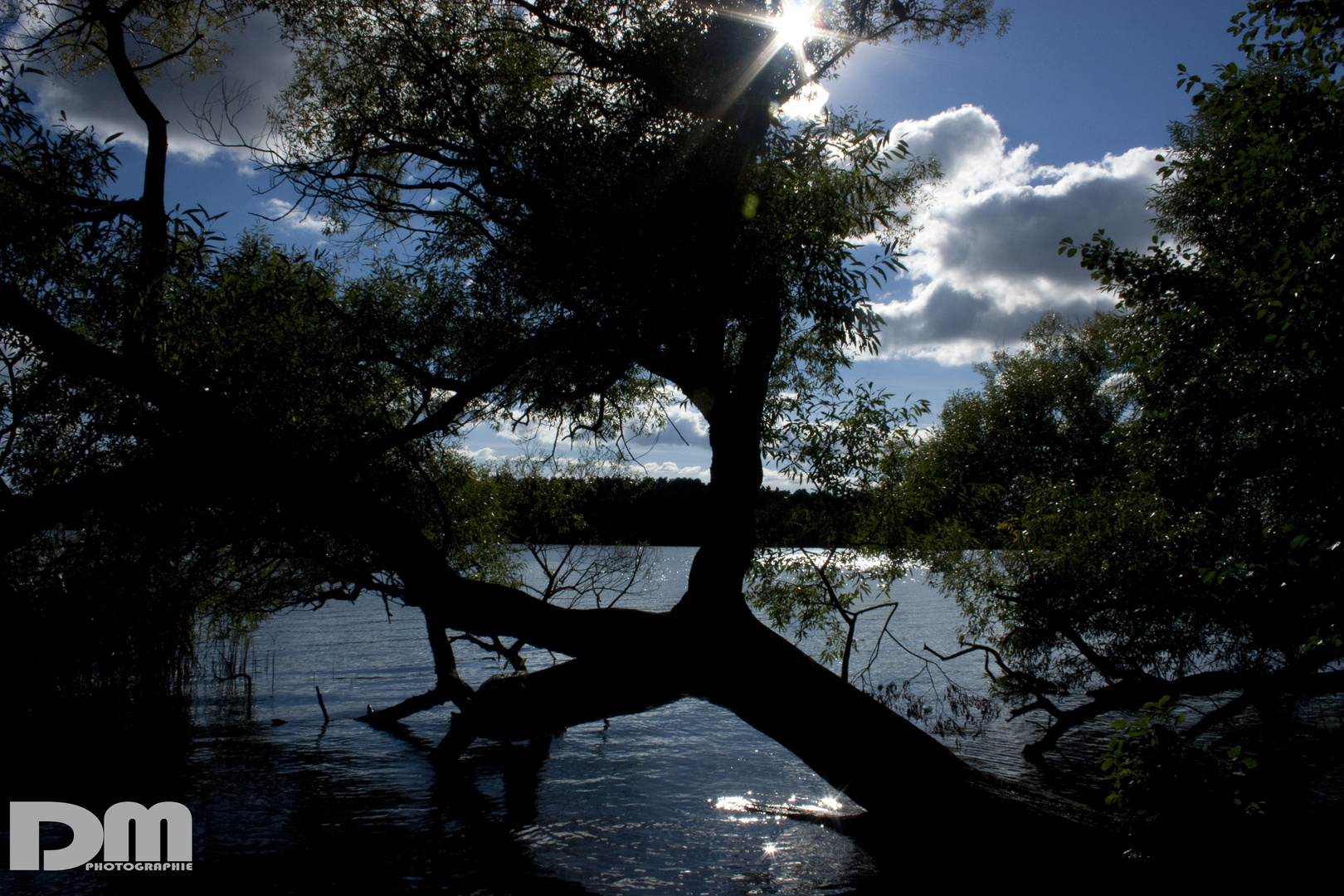 in den Müggelbergen