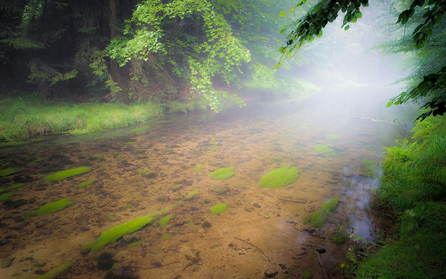 [ In den Nebel... ]