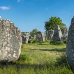 In den neolithischen Steinreihen von Erdeven