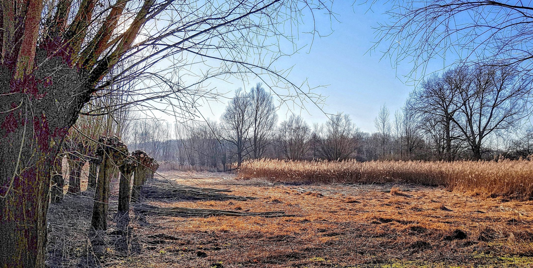 In den Niers-Auen