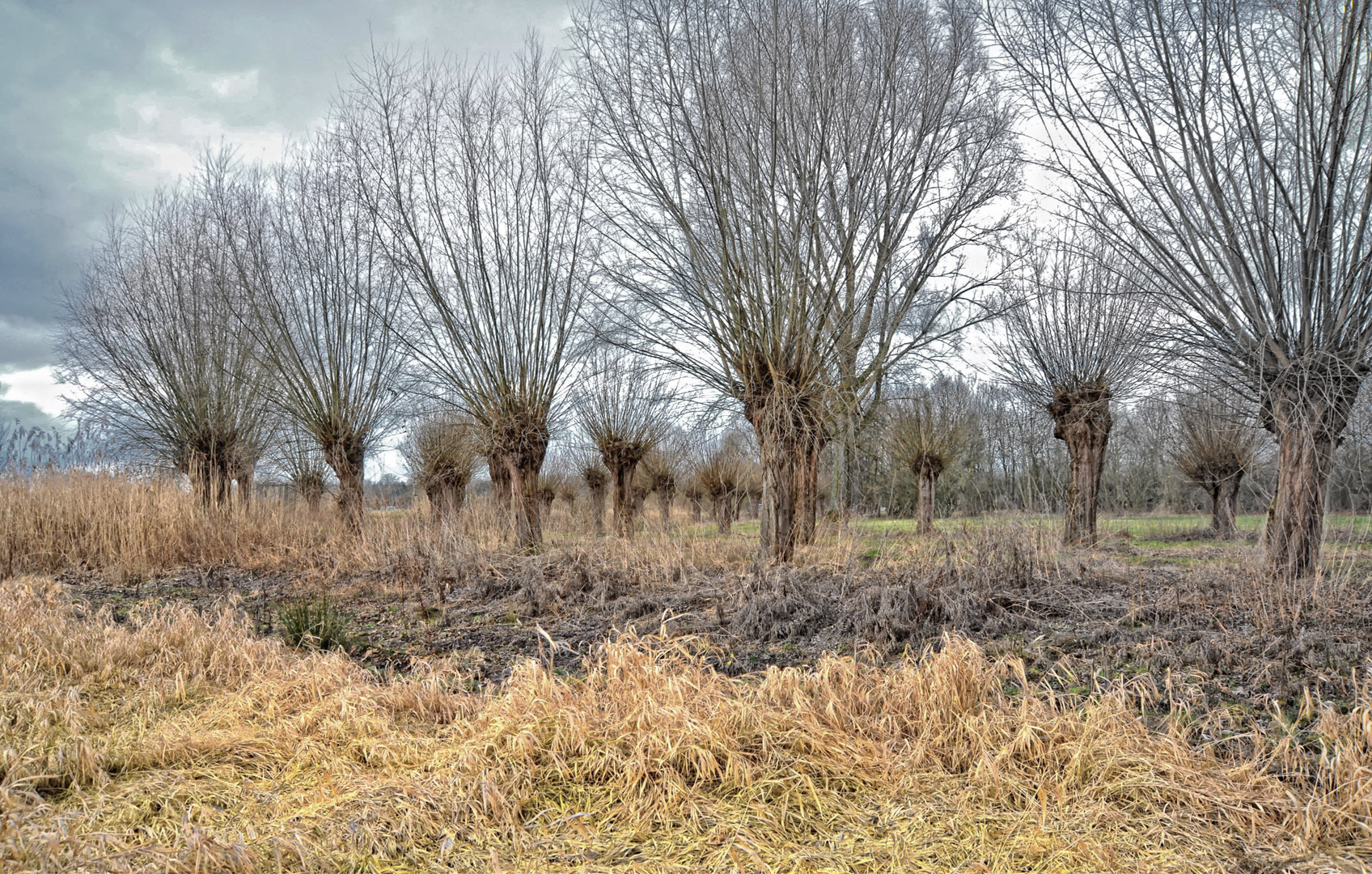 In den Niers-Auen