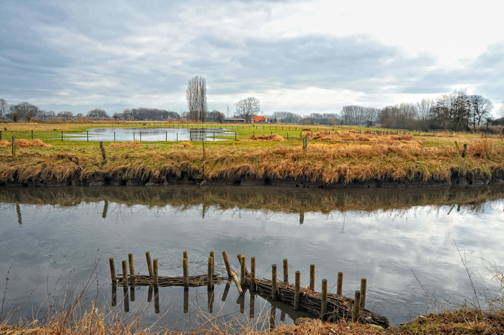 In Den Niers Auen Bei Wachtendonk Foto Bild Natur Natur