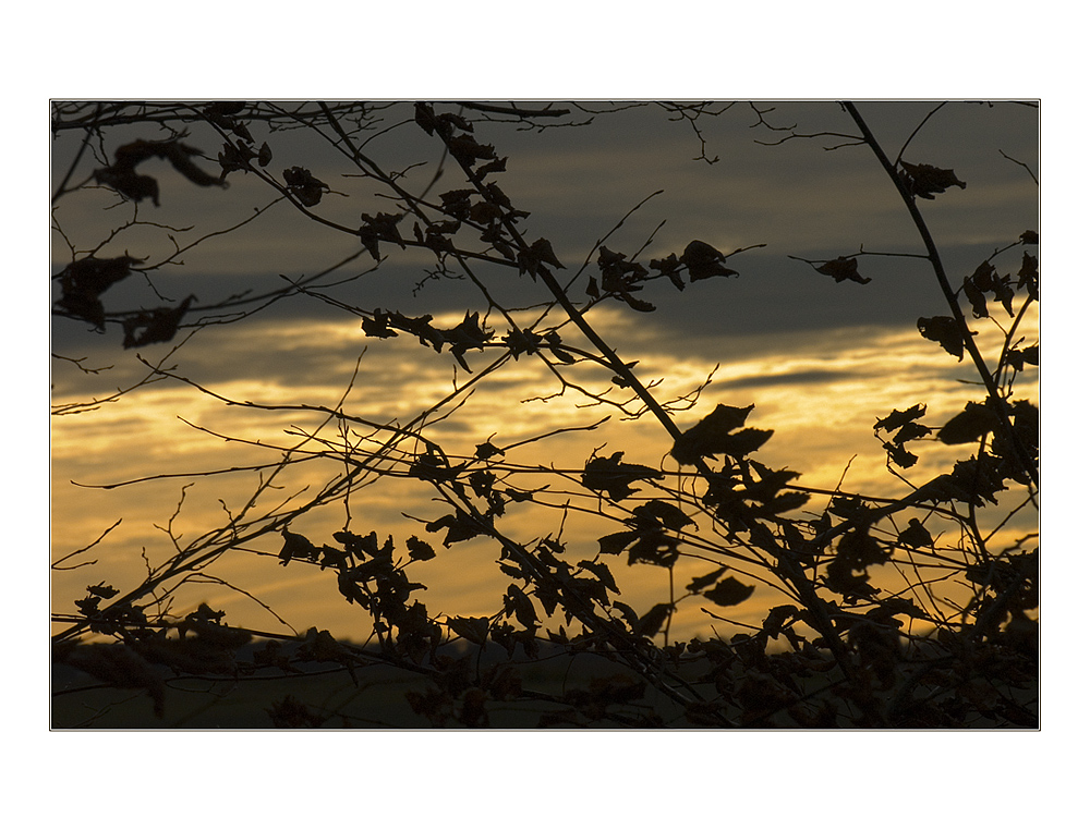 ...in den ohren der erinnerung... - ...ffffegt der wind, später herbstwind... - (mit Lyrik)