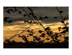 ...in den ohren der erinnerung... - ...ffffegt der wind, später herbstwind... - (mit Lyrik)