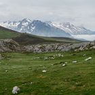 In den Picos de Europa