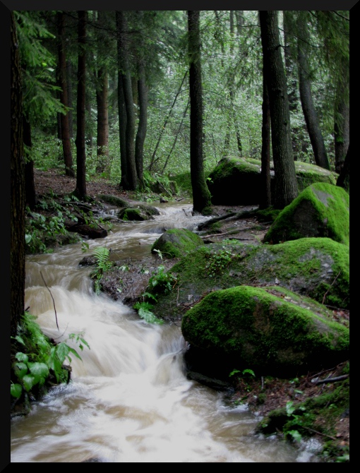 In den Quarksteinen/Zwickau