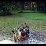 In den Reisfeldern arbeitende Kinder