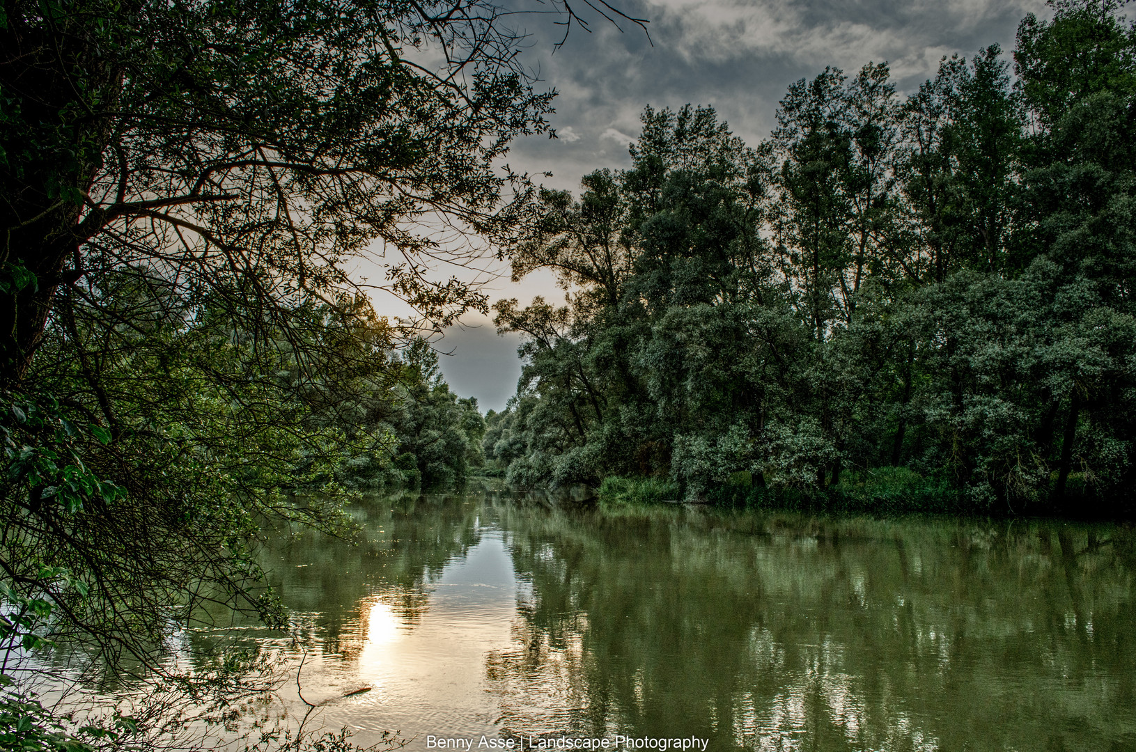 in den Rheinauen