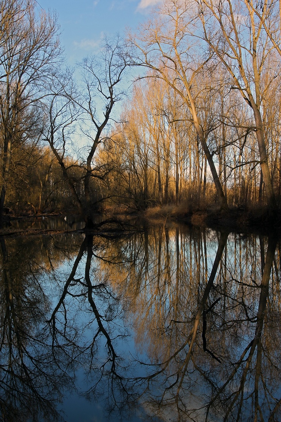 In den Rheinauen