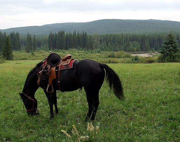 In den Rocky Mountains