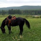 In den Rocky Mountains