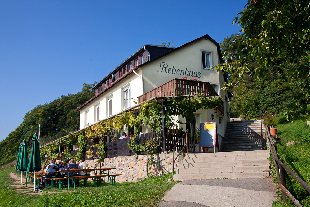 In den Rüdesheimer Weinbergen