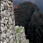 In den Ruinen von Machu Picchu