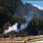 In den rumänischen Waldkarpaten