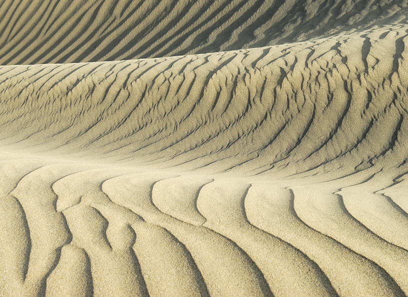 In den Sanddünen von Maspalomas auf der Insel Gran Canaria