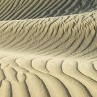 In den Sanddünen von Maspalomas auf der Insel Gran Canaria