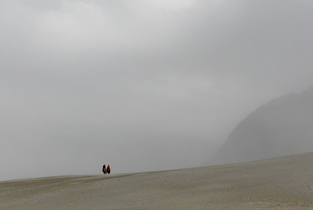 In den Sanddünen von Nubra