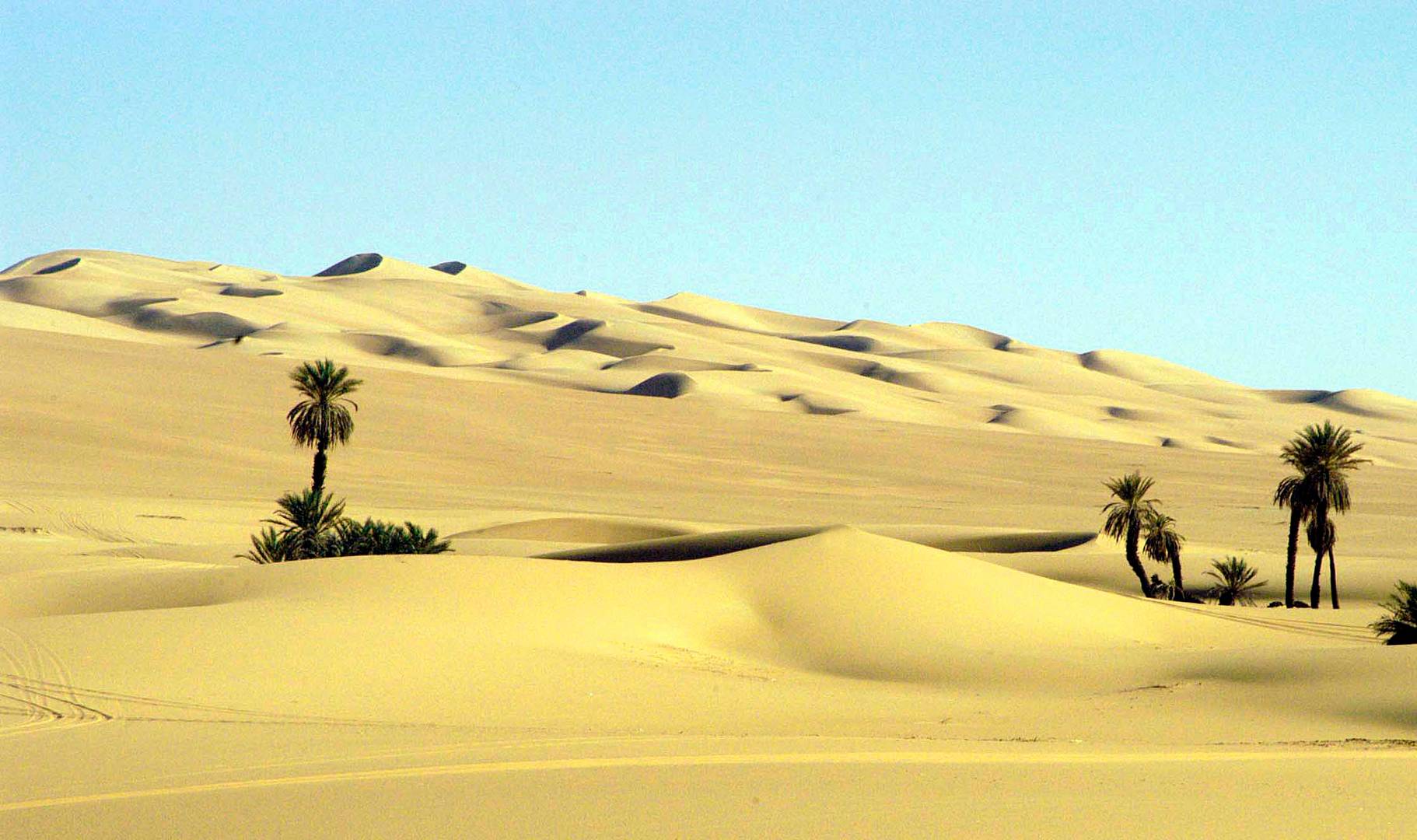 In den Sandmeeren der Sahara