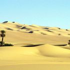 In den Sandmeeren der Sahara
