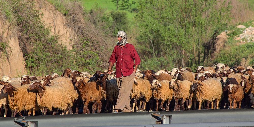 In den Schluchten des Zagros-Gebirges...