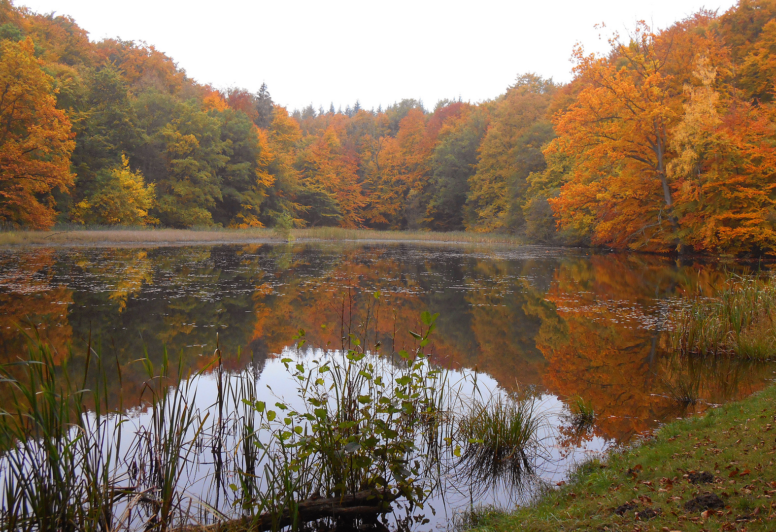 In den schönsten Farben