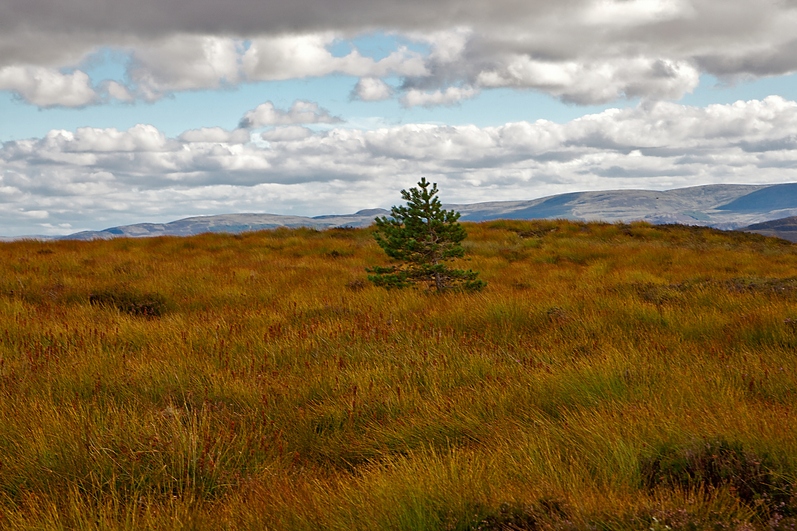 In den schottischen Highlands 2