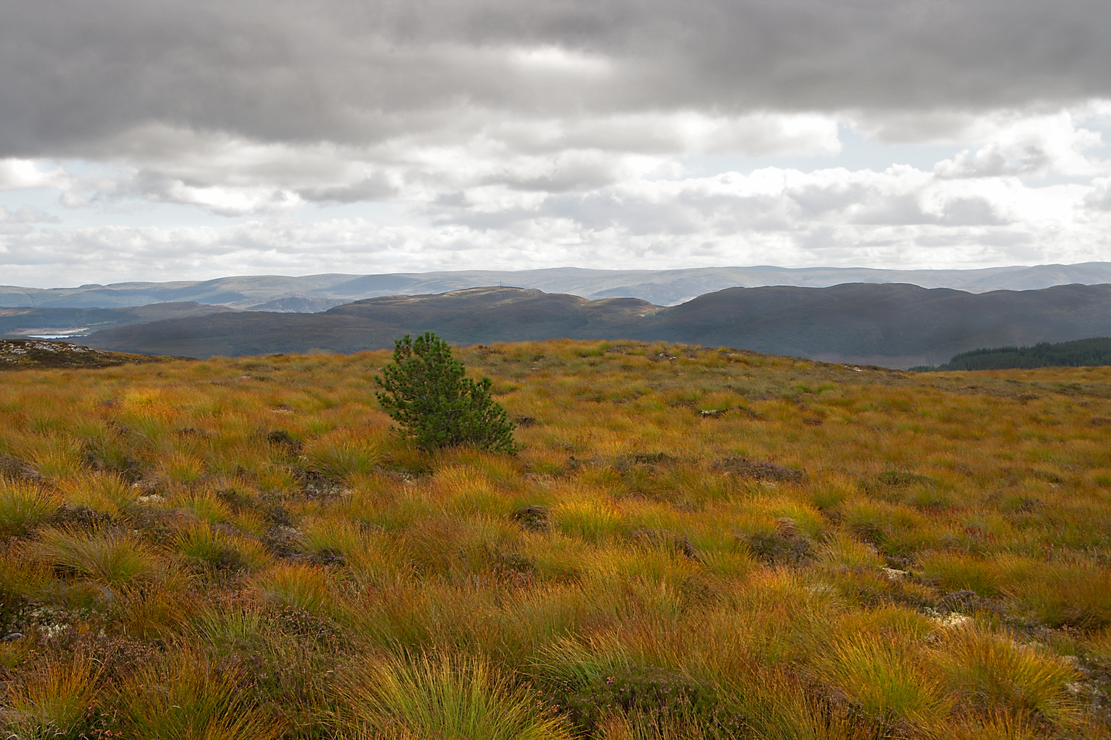 In den schottischen Highlands .