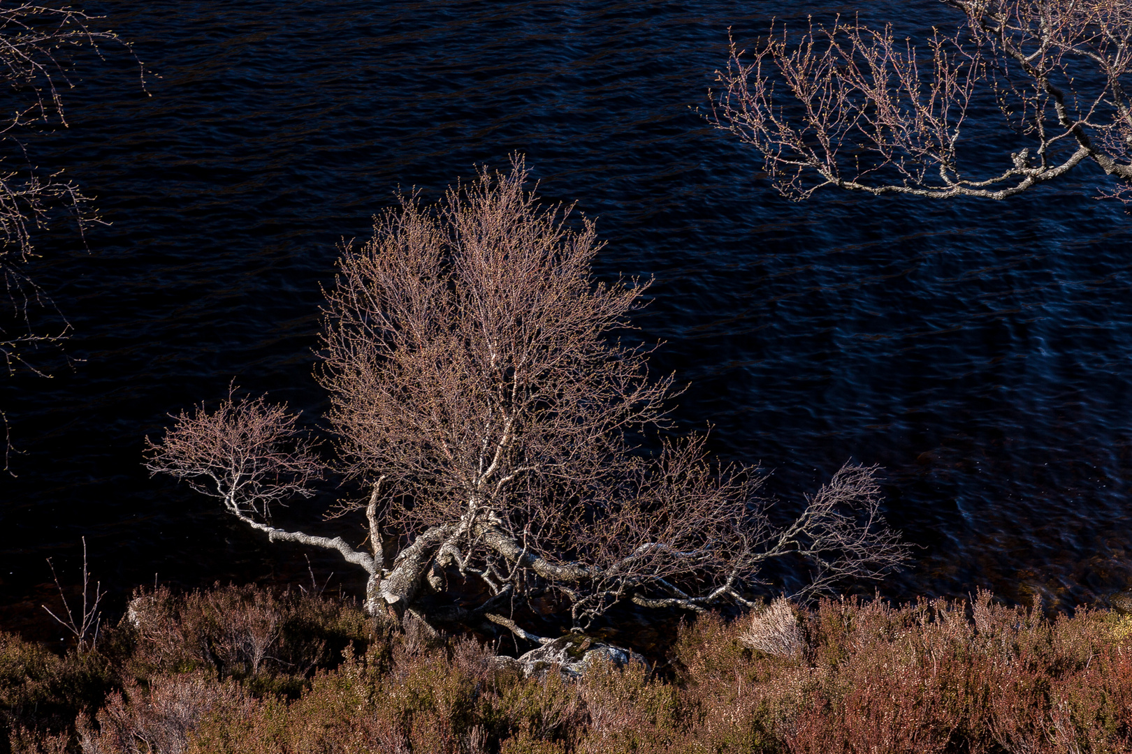 in den schottischen highlands